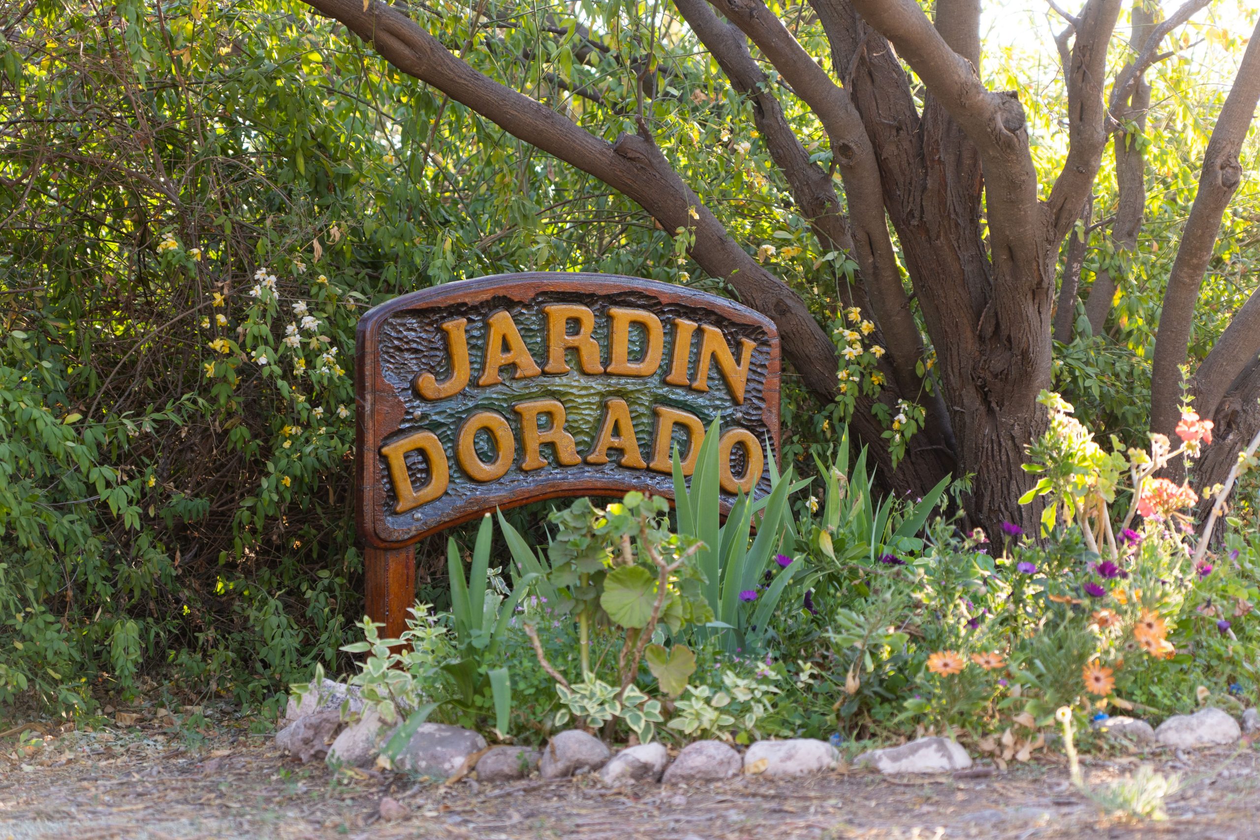 Cabañas Jardín Dorado Fondo